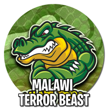 Load image into Gallery viewer, MALAWI TERROR BEAST AUTO
