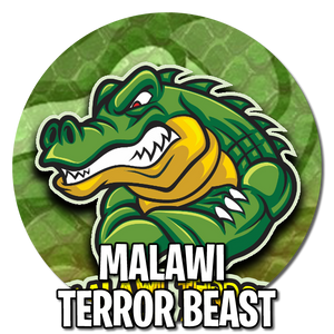 MALAWI TERROR BEAST AUTO